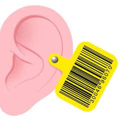 Human ear with bar code earmark