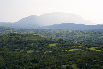 Tropical valley with high mountains