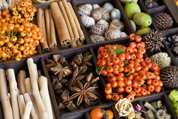herbstliches im Setzkasten