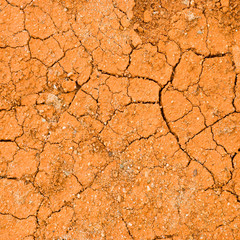 Cracked ground