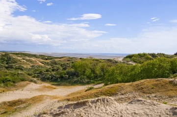 Le sentier des Garennes, au milieu des dunes - Berck-sur-mer (Cô
