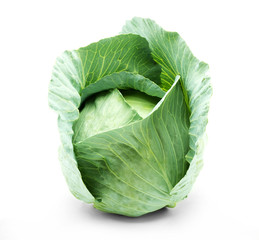 Obraz premium Head of green cabbage