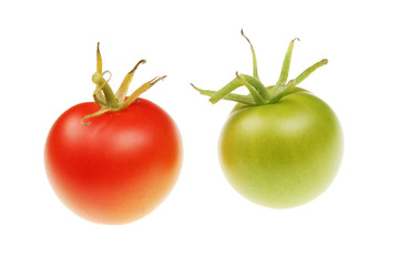 Red and green tomatoes