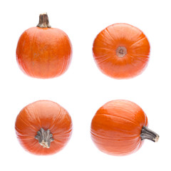 Group of 4 Pumpkins