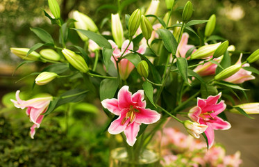 Beautiful bunch of pink lilies in a transparent bowl