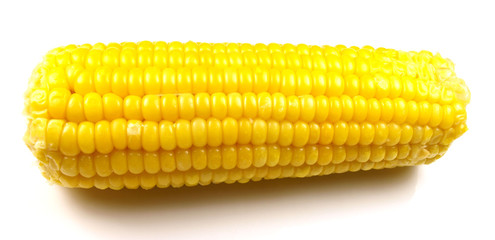 tasty corn on white