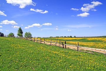 old fence on field