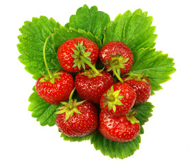 strawberries with leaves