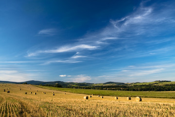 Fototapeta premium Rural Landscape