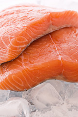 Lachs auf Eis