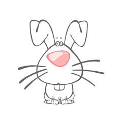 Domestic pet - rabbit