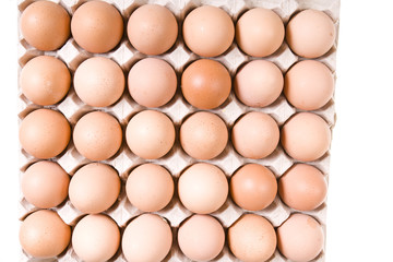 Eggs in the box close-up