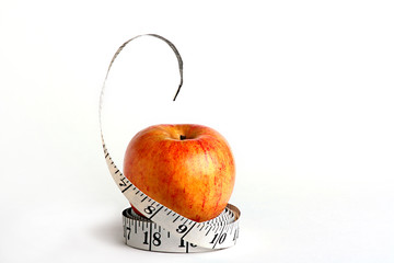 Tape measure