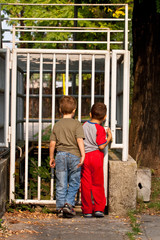 Bambini