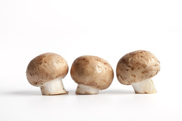 Three Chestnut mushrooms on white background