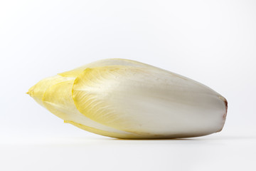 One piece of fresh Chicory