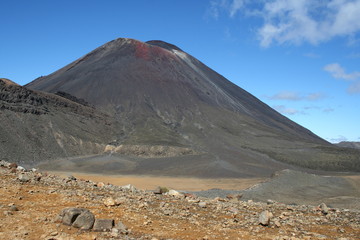 Fototapeta premium Neuseeland_31