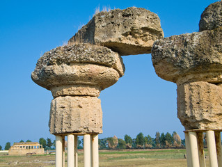 Metaponto. Archeological park. Basilicata.