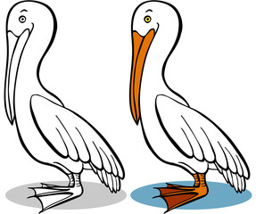 stork
