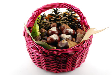 basket with chestnut leaves and pine-cone autumn scene