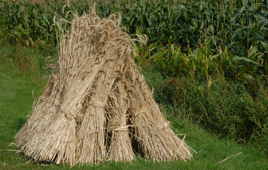 Strohgarben
