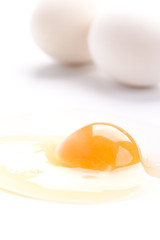 white chicken eggs