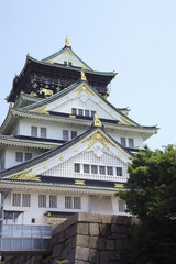Fototapeta premium 大阪城天守閣