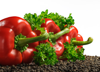 Red paprika with black pepper and parsley isolated on white