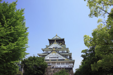 Fototapeta premium 大阪城天守閣
