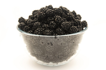 Blackberry on a white background