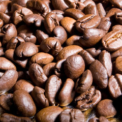 Coffee Beans
