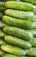 Organic green cucumbers