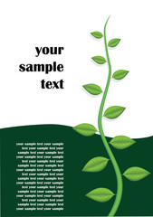 floral front page vector