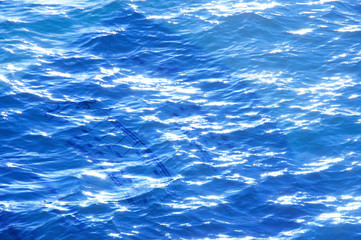楽譜と海