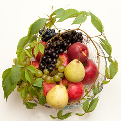 Obstschale mit Weinblättern und naturbelassenen Bioprodukten