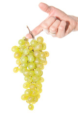 Bio - grüne Weintrauben