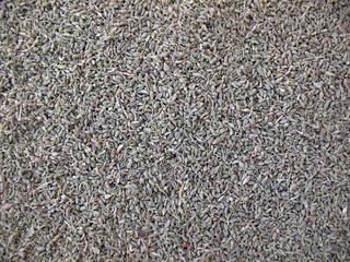 Anise Background