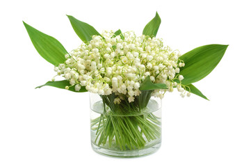 Lily of the valley