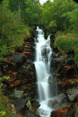 Fototapeta premium Acqua