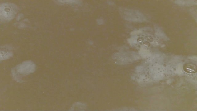 Mosto in fermentazione