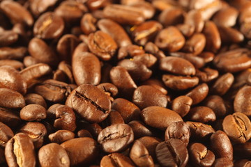 Fototapeta premium Kaffee Bohnen