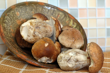 Fresh Porcini