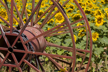 Agriculture Background