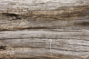 Fototapeta premium 木目