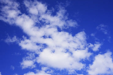 青空と白い雲