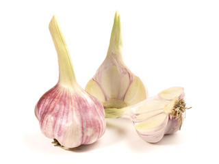 Obraz premium Junger Knoblauch
