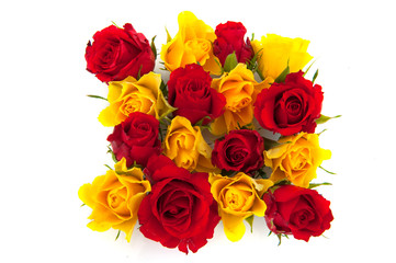 red and yellow roses