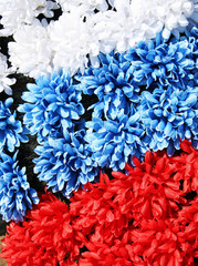 Three coloures of flag: white, blue, red, made from flowers