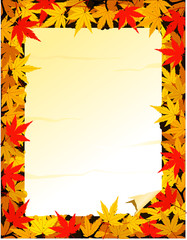 Autumn leaf background
