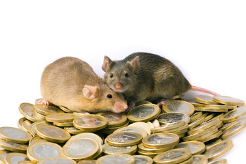 Zwei Mäuse auf Euromünzen